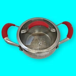 David Burke Stainless Steel Chef Pan 2 Qt Saucepan Red Handles and Lid Grips